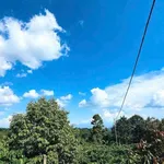 Bán 4,2 sào đất vườn cà phê hai mặt tiền tại Komleo, Tân Lập, Buôn Ma Thuột - Ảnh thu nhỏ 5