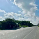 Bán đất 100m2 xây nhà ở kinh doanh An Long, Bình Dương - Ảnh thu nhỏ 4