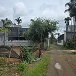 Bán đất góc 2 mặt tiền Tân Hòa Đắk Lắk 295m2 - Ảnh thu nhỏ 1