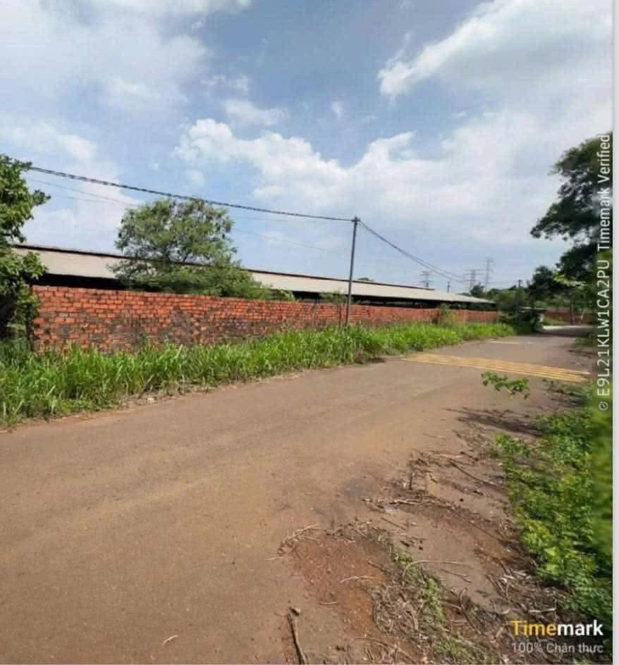 Bán trang trại 10.000 m² Dầu Giây, Đồng Nai - Ảnh thu nhỏ 2