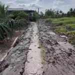Bán 2400 mét vuông đất lúa mặt tiền đường 2m tại xã Tầm Vu, Tây Ninh - Ảnh thu nhỏ 1