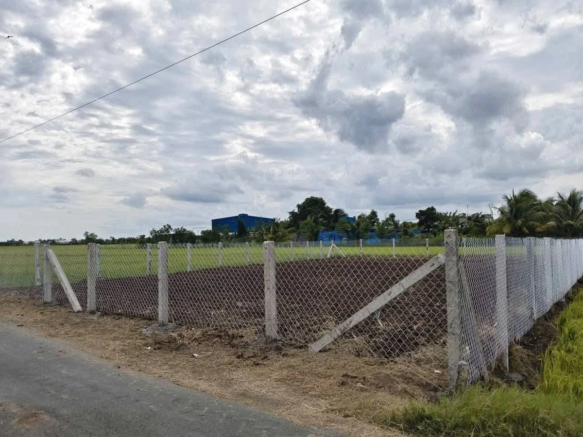 Bán đất Gò Công 466m² sổ hồng, mặt đường - Ảnh thu nhỏ 2