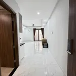 Cho thuê studio 40m² Opal Skyline Thuận An - Ảnh thu nhỏ 2