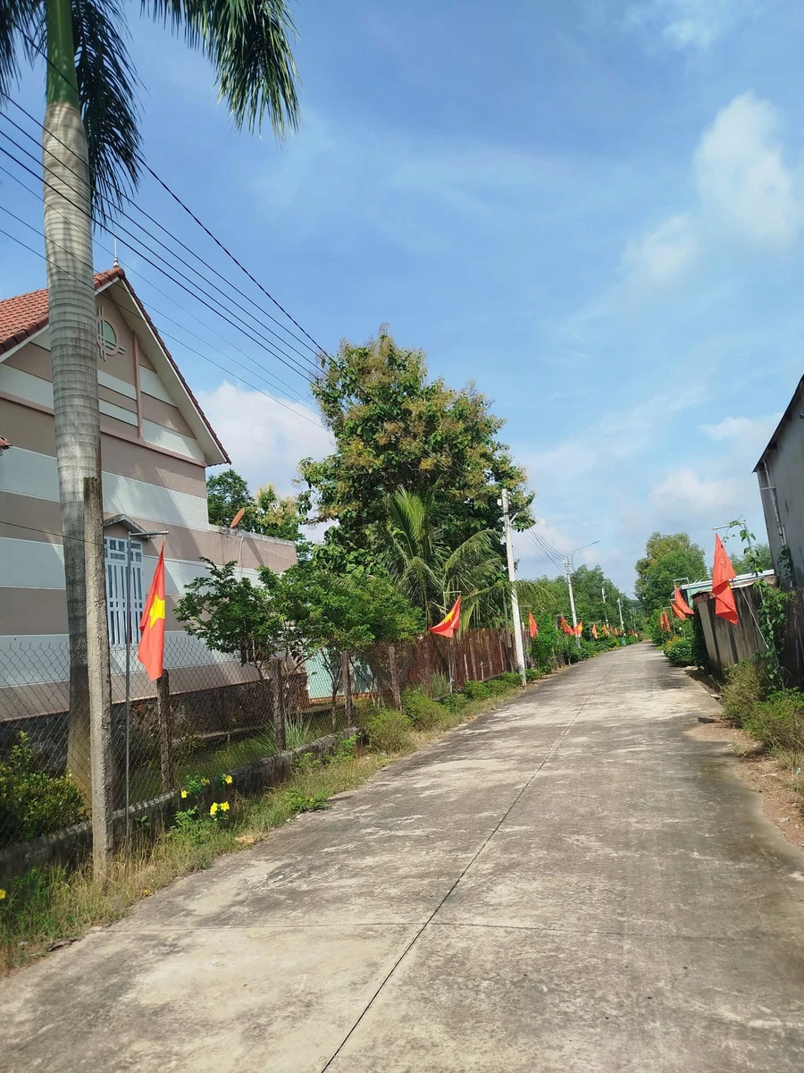 Bán đất thổ cư An Linh, Phú Giáo, 286m2, 350 triệu - Ảnh thu nhỏ 2