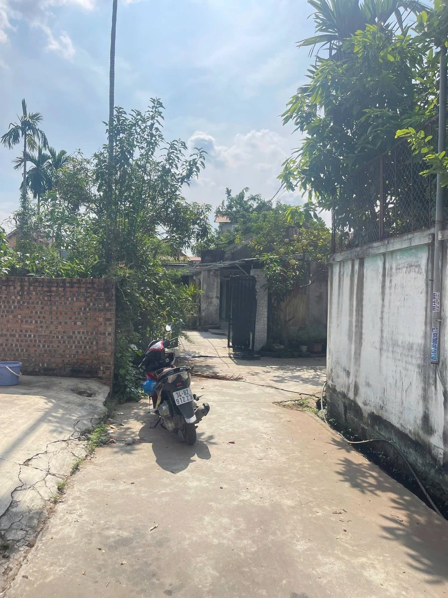 Bán đất Làng nghề mộc Đông Giao 100m2, lô góc - Ảnh thu nhỏ 2