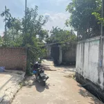 Bán đất Làng nghề mộc Đông Giao 100m2, lô góc - Ảnh thu nhỏ 2