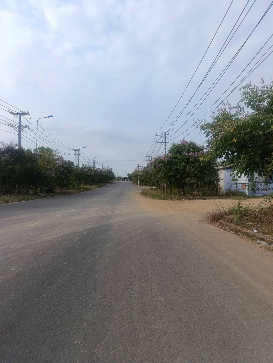 Bán đất sổ riêng mặt tiền 30x50m (1500m²) Đồng Nai 4,5 tỷ - Ảnh thu nhỏ 3