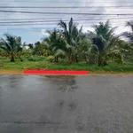Bán nền mặt tiền 128m² An Phước Châu Thành Bến Tre - Ảnh thu nhỏ 3