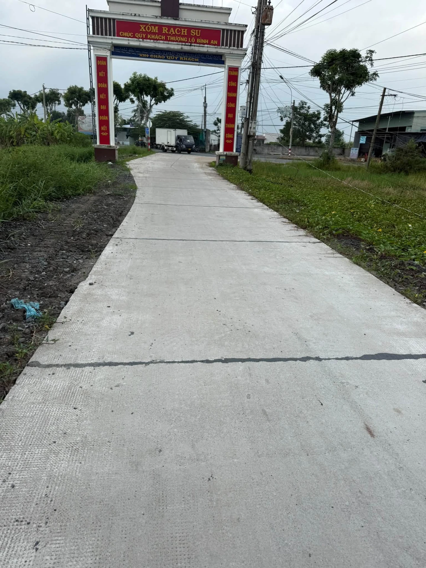 Bán đất lúa 1246 m² tại Phước Đông 450 triệu - Ảnh 1