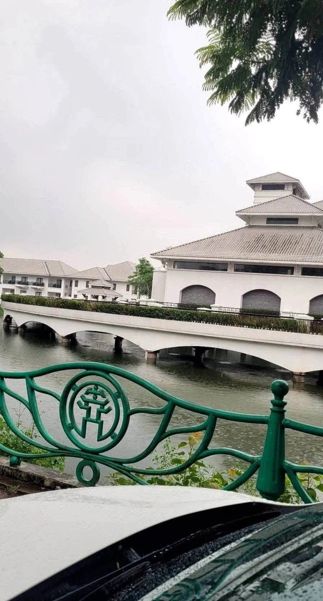 Bán biệt thự lô góc 260m² 4 tầng view Hồ Tây 210 tỷ - Ảnh thu nhỏ 2