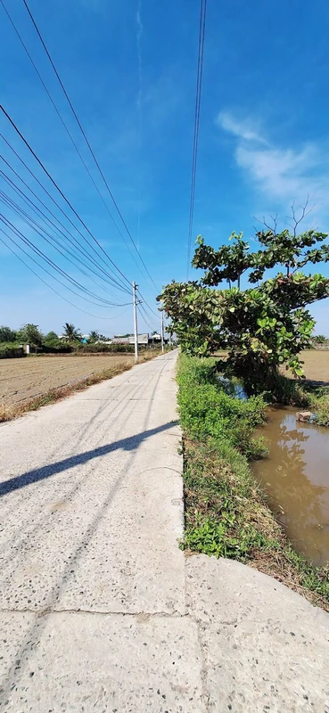 Bán đất thổ cư 250m² mặt tiền ô tô Phan Thiết