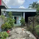 Bán đất 300m2 (100m2 thổ cư) có vườn dừa, nhà cấp 4, hẻm Huỳnh Văn Cận, Phường 8 - Ảnh thu nhỏ 2