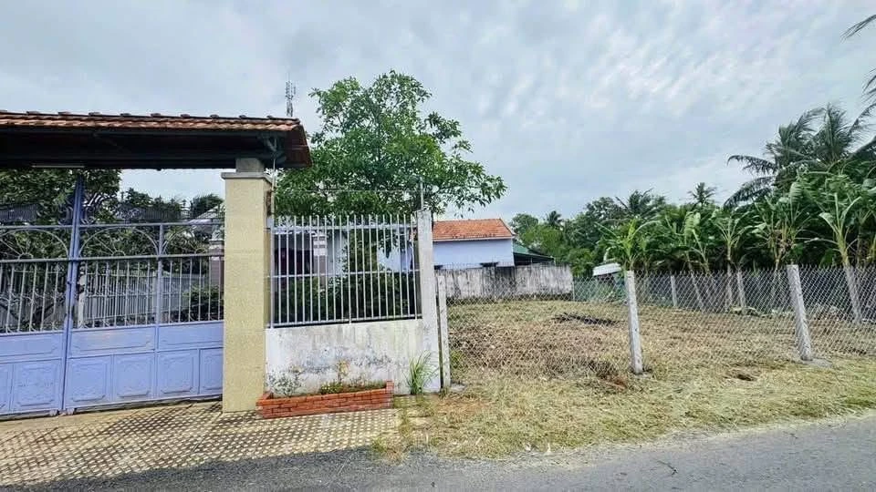 Bán đất mặt tiền Nguyễn Văn Trung Bến Tre 248,8m² 1,55 tỷ - Ảnh thu nhỏ 3