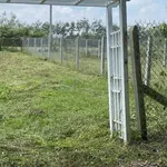 Bán đất Giồng Cà Tây Ninh 140m², 199 triệu/lô - Ảnh thu nhỏ 2