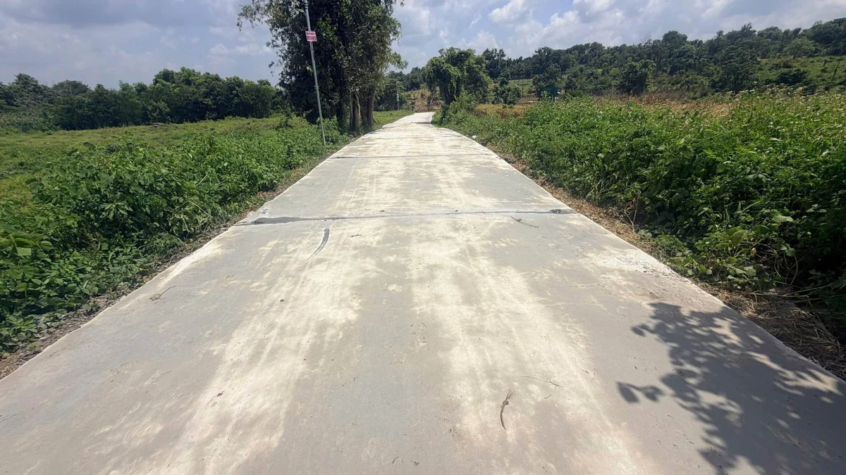 Bán đất 500m2 Bình Mỹ Thôn 8 495 triệu - Ảnh thu nhỏ 5