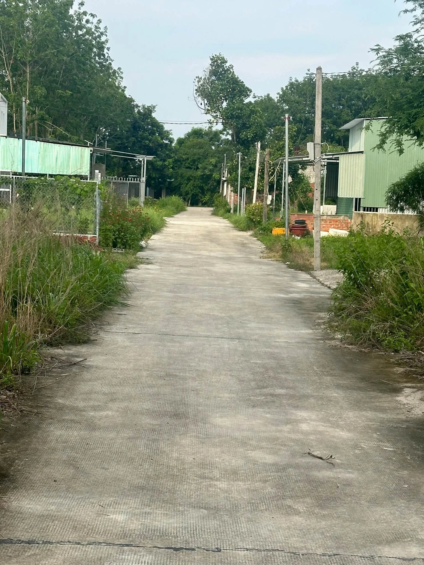 Bán đất Chơn Thành 175m2 giá 6 tỷ - Ảnh 1