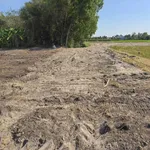 Bán đất sạch Hòa Khánh Đông 135m² sổ riêng 550 triệu - Ảnh thu nhỏ 3