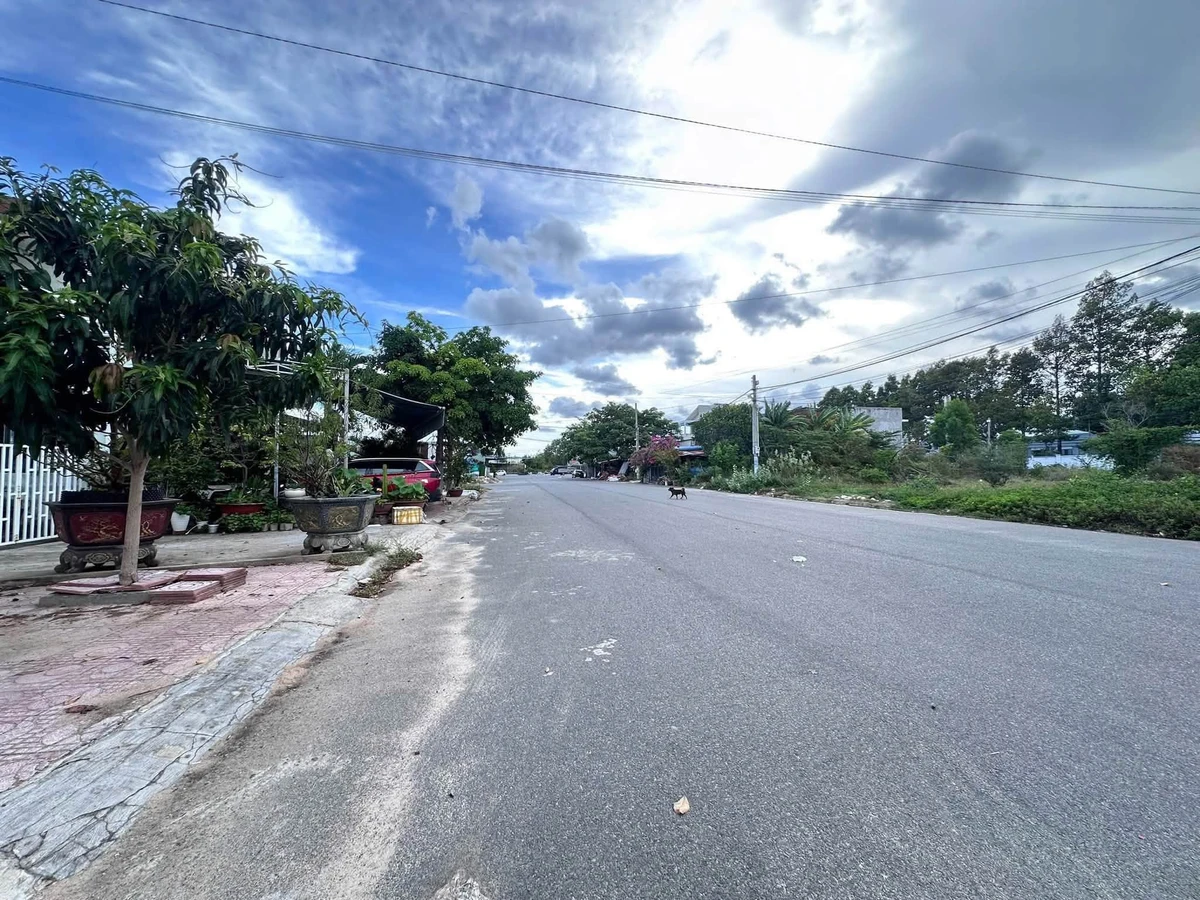 Bán lô đất thổ cư mặt tiền 85m2 Nguyễn Văn Siêu, Lâm Đồng - Ảnh thu nhỏ 2