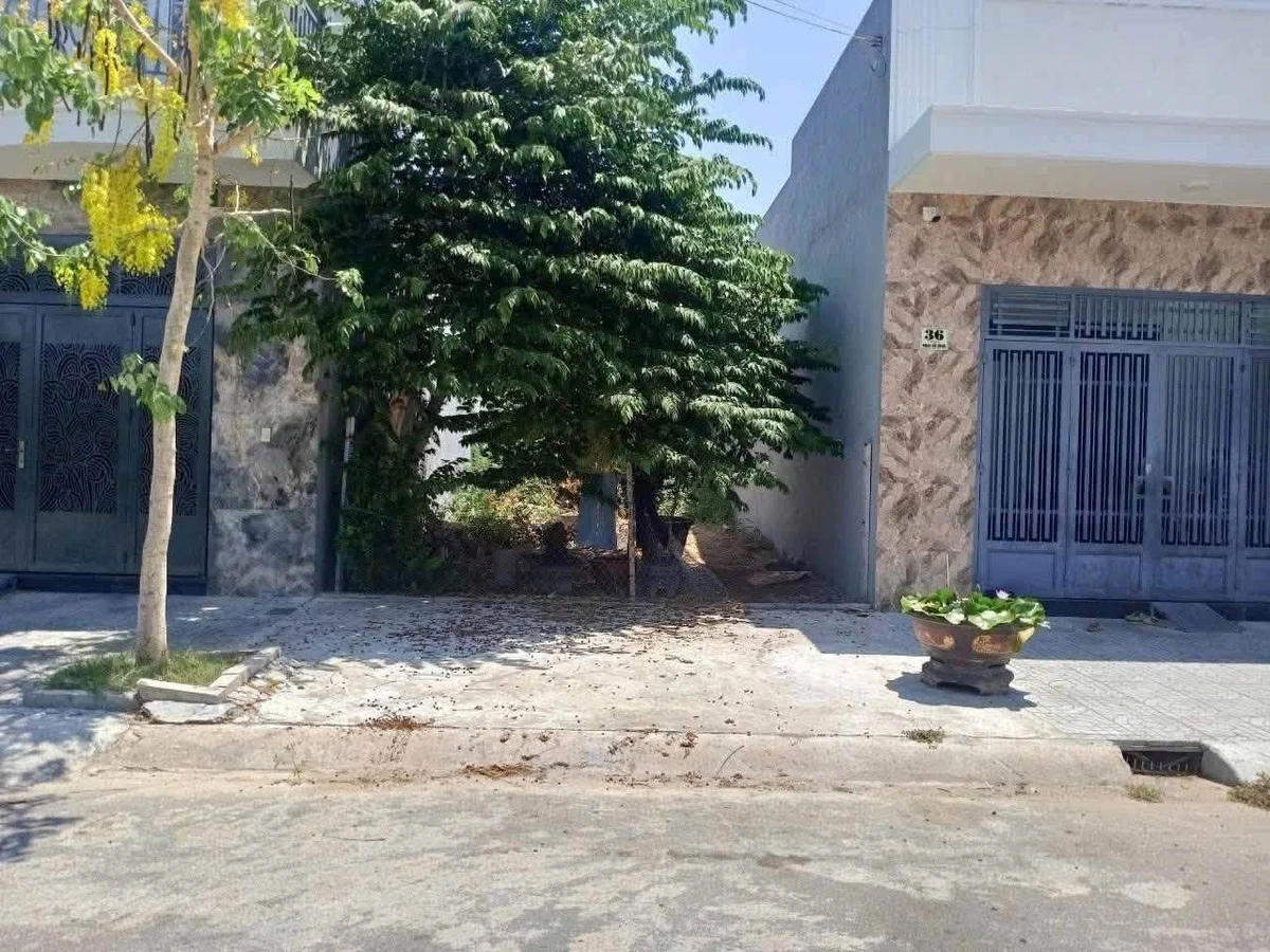 Bán đất thổ cư mặt nhựa 85m2 đường Phan Kế Bính, KDC Phú Tài, Phan Thiết, Bình Thuận - Ảnh thu nhỏ 3