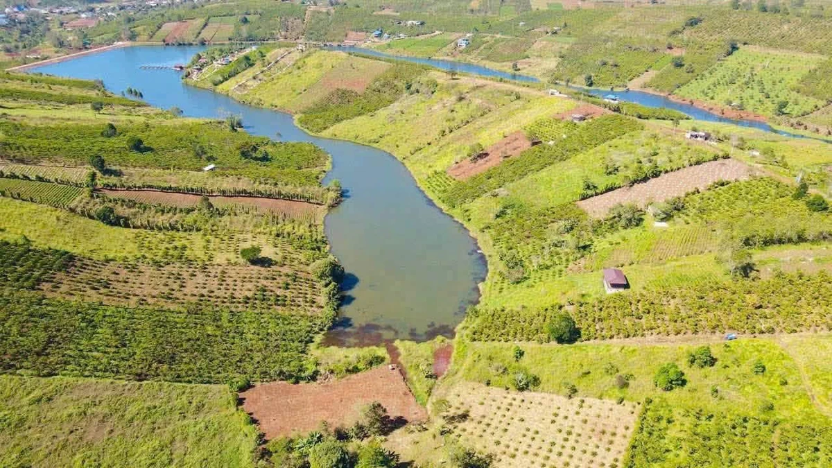Bán đất 1,2 hecta Bảo Lộc view hồ 16,6 tỷ - Ảnh thu nhỏ 3