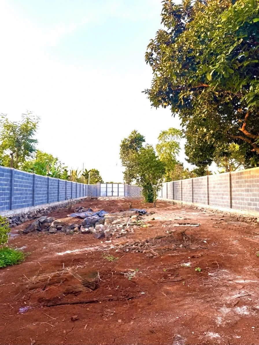 Bán nhà vườn 508m2 Phường Bình Mỹ Tây 2,5 tỷ - Ảnh thu nhỏ 2