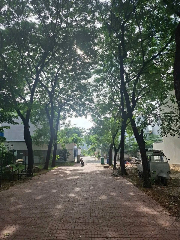 Bán nhà cấp 4 68,3m² view công viên trung tâm Lái Thiêu, Thuận An, giá 4,25 tỷ