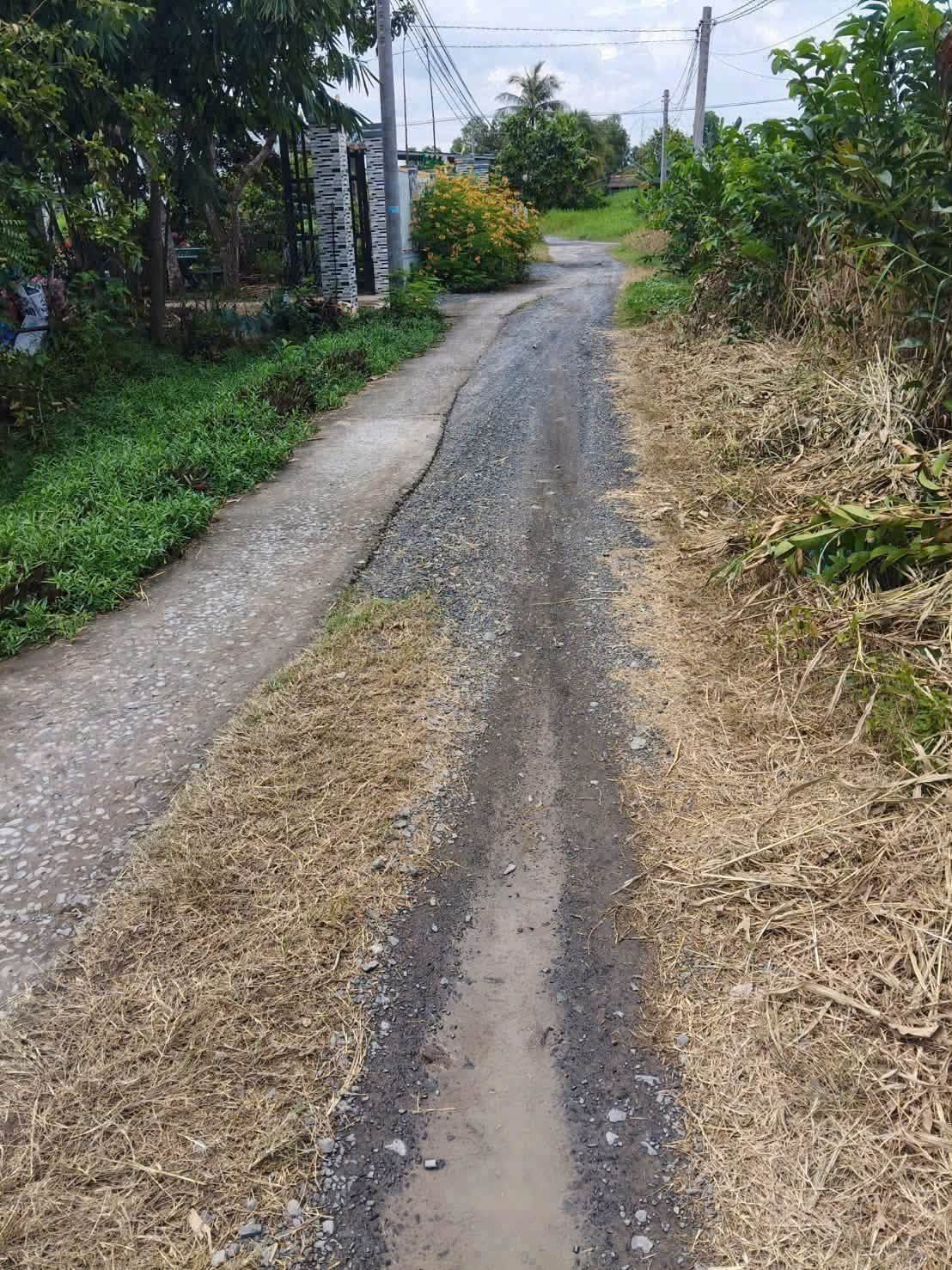 Bán lô đất thổ cư 6x25m Cần Dước Long An - Ảnh thu nhỏ 2