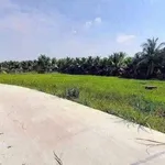 Bán đất vườn 2.112m² Tân An Long An giá 3 tỷ - Ảnh thu nhỏ 5