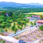 Bán đất nông nghiệp 25.000m2 Nam Cát Tiên Đồng Nai, 450 cây sầu riêng - Ảnh thu nhỏ 5