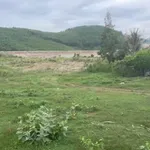 Cần ra nhanh lô đất diện tích 1.153m2 Xã Ninh Tây, Ninh Hòa, Khánh Hòa, có thổ cư - Ảnh thu nhỏ 2