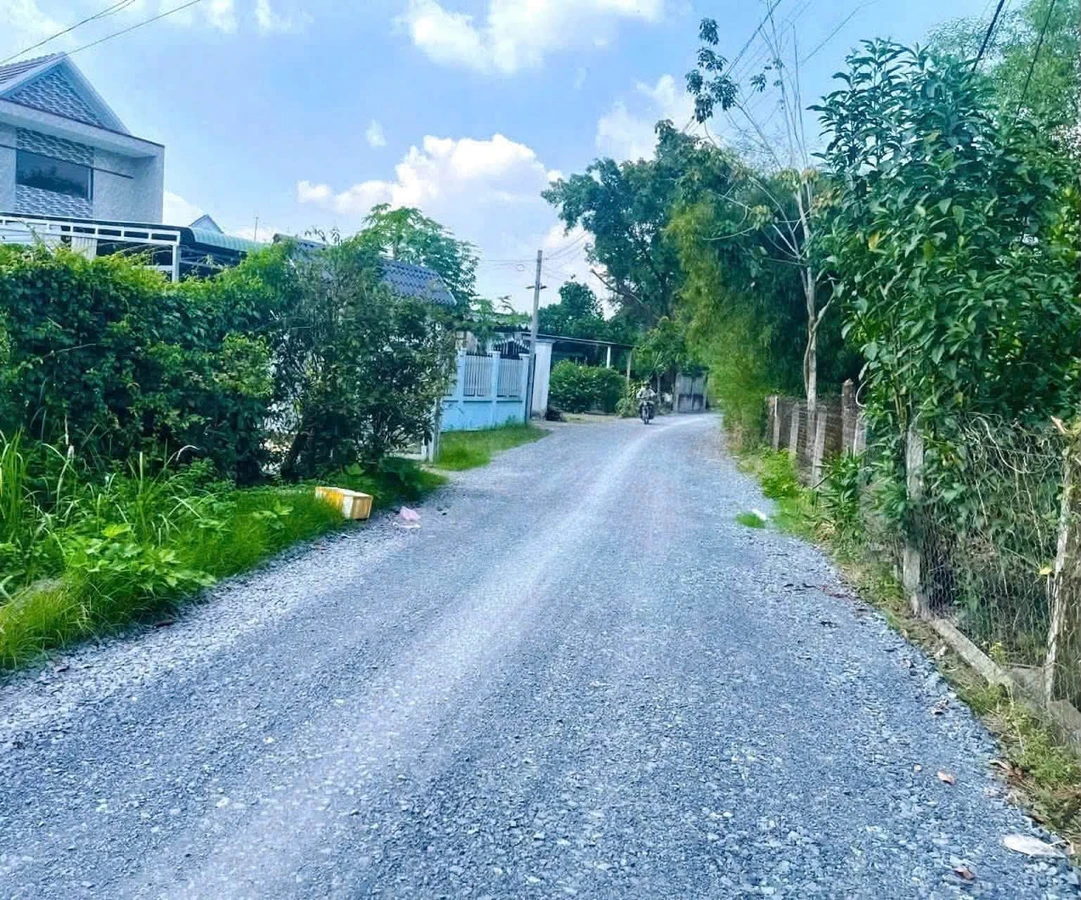Bán đất 137m2 thổ cư, sổ hồng riêng, xã Tân An Hội, Củ Chi, giá 1,15 tỷ - Ảnh thu nhỏ 2