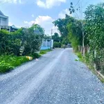 Bán đất 137m2 thổ cư, sổ hồng riêng, xã Tân An Hội, Củ Chi, giá 1,15 tỷ - Ảnh thu nhỏ 2
