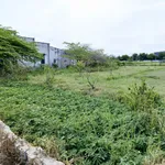 Bán lô đất quy hoạch thổ cư 1786m² với nhà cấp 4 Hàm Mỹ - Ảnh thu nhỏ 3
