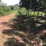 Bán đất 1ha2320m2 Chơn Thành Đồng Nai - Ảnh thu nhỏ 2