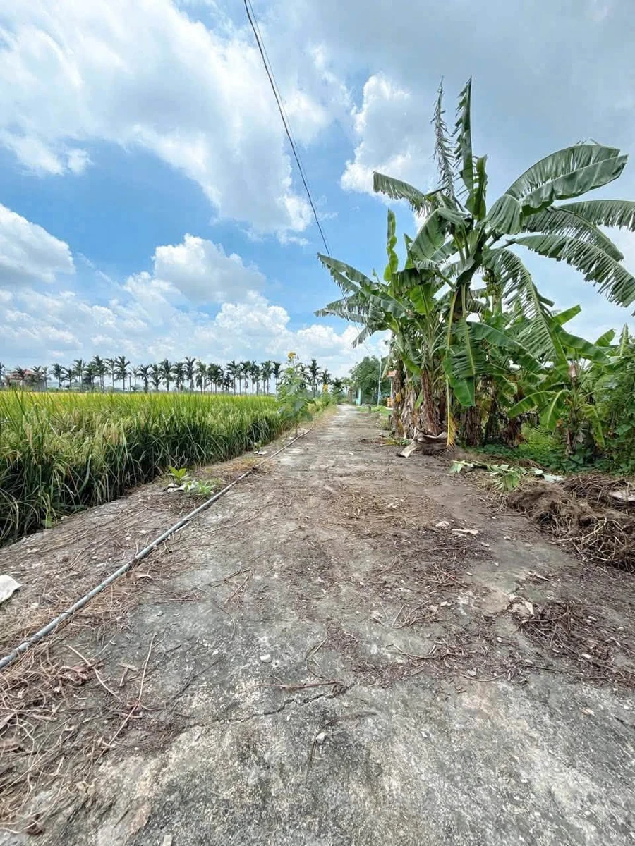 Bán đất thổ cư 380m² Bình Tân, 500 triệu - Ảnh thu nhỏ 3