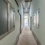 Bán đất dãy trọ An Bình 290m2, 7.5 tỷ - Ảnh thu nhỏ 5