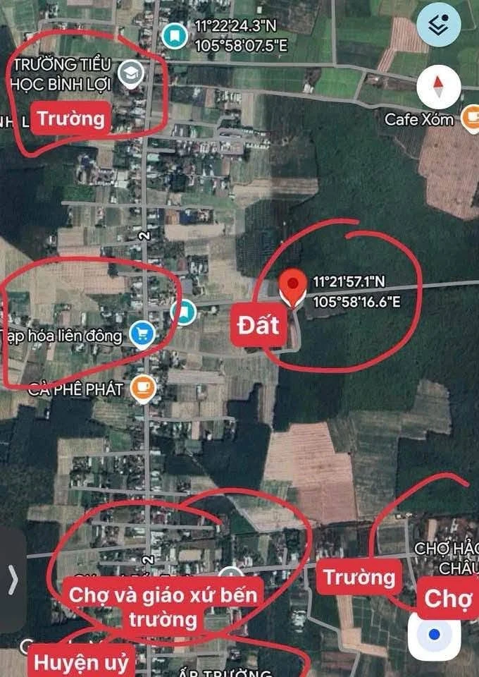 Bán đất thổ cư 125m² giá 169 triệu Châu Thành Tây Ninh - Ảnh thu nhỏ 3