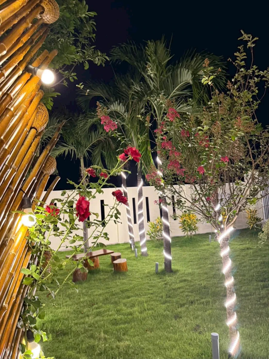 Bán nhà vườn 1.606m² Phan Thiết 1 tỷ 790 triệu - Ảnh thu nhỏ 3