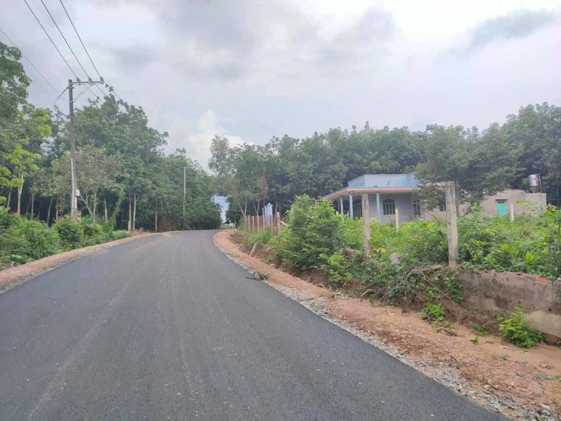 Bán đất 23.500m² Phường Long Nguyên, Bình Dương, giá 700 triệu