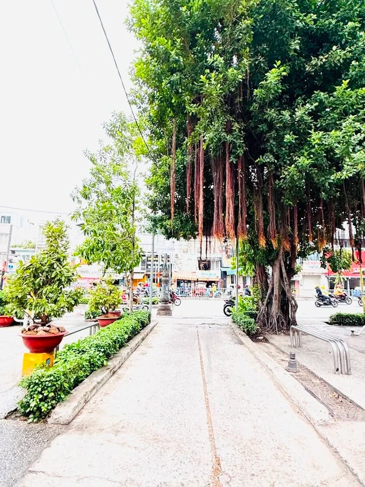 Bán nhà hẻm 2 tầng 35m2 trung tâm Quận 1, giá 5,2 tỷ - Ảnh thu nhỏ 5
