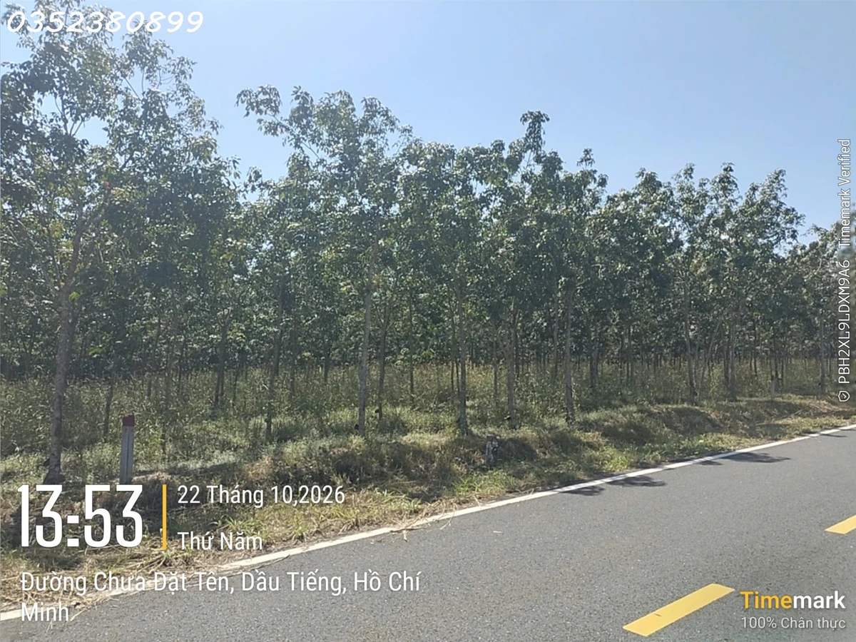 Hàng hiếm tại Ấp Núi Cậu, ĐT 744, Dầu Tiếng, DT 262 m2, giá 2,7 tỷ - Ảnh 1