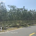 Hàng hiếm tại Ấp Núi Cậu, ĐT 744, Dầu Tiếng, DT 262 m2, giá 2,7 tỷ - Ảnh thu nhỏ 1
