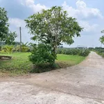 Bán lô đất vườn 7200m² thổ cư gần ngã tư Bảy Hải Hàm Liêm - Ảnh thu nhỏ 2