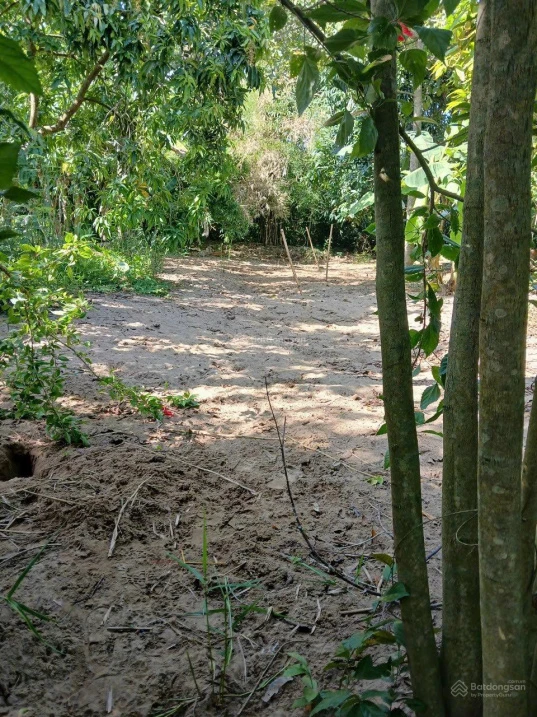 Bán đất nền Ấp Mỹ Phú Đất Liền, diện tích 283,6 m2. Có sẵn 80m2 là đất thổ cư - Ảnh thu nhỏ 5