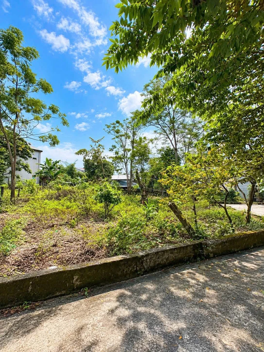 Bán đất xây trọ 117m² Thủy Dương gần Làng Đại Học - Ảnh thu nhỏ 3