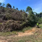 Bán 2ha đất Lâm Đồng, giá 120 triệu/sào - Ảnh thu nhỏ 2