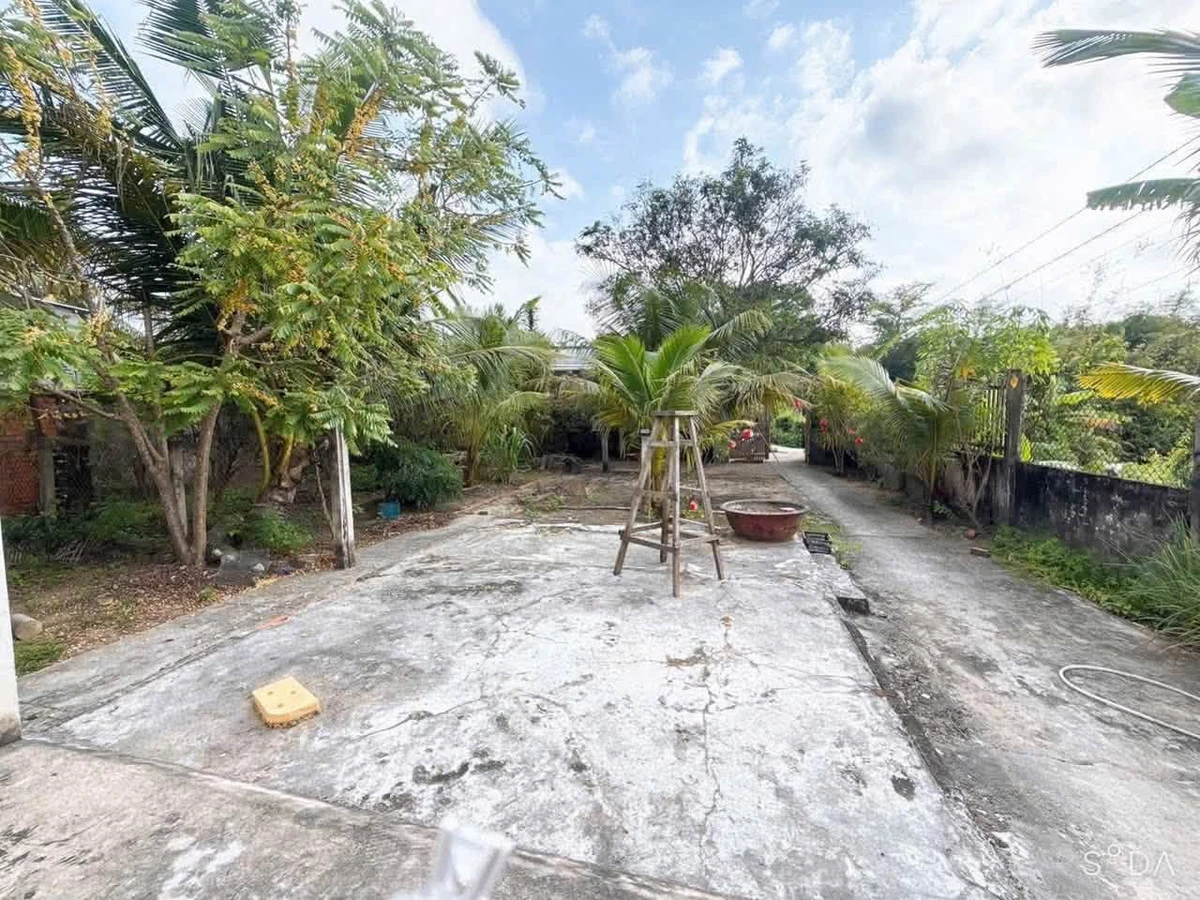 Bán đất vườn 543m² Xã Phú Hưng Bến Tre 940 triệu - Ảnh thu nhỏ 5