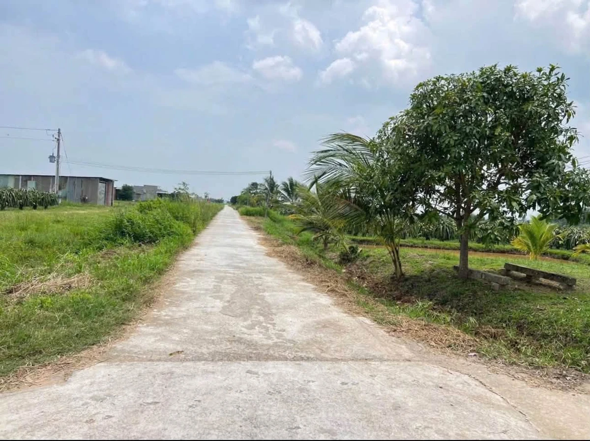 Bán lô đất vườn 1,8 sào full thổ cư Cần Giờ 599 triệu - Ảnh thu nhỏ 3
