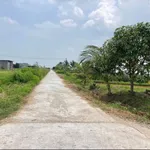 Bán lô đất vườn 1,8 sào full thổ cư Cần Giờ 599 triệu - Ảnh thu nhỏ 3