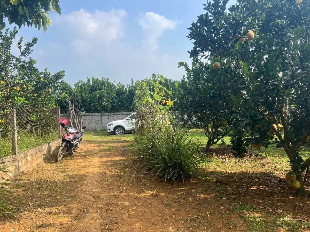 Bán đất 360m² Tân Lạc Hòa Bình 199 triệu - Ảnh 1